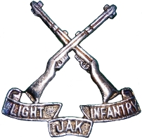 Jammu & Kashmir Light Infantry