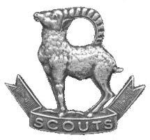 Ladakh Scouts