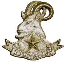 Northern Light Infantry