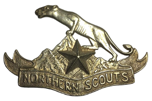 Northern Scouts