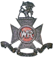 WellingtonRifles