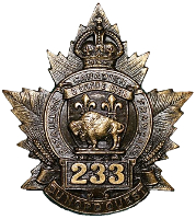 b233