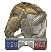 228e RALD