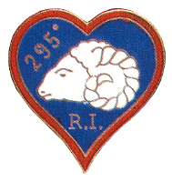 295e RI