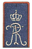 ir100